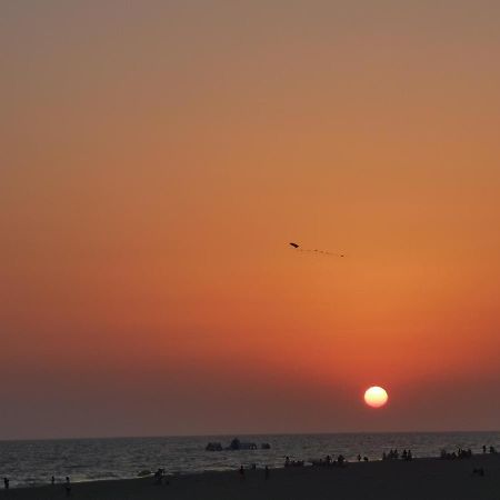 Entre Pinos Y Playa Apartment Matalascanas Ngoại thất bức ảnh